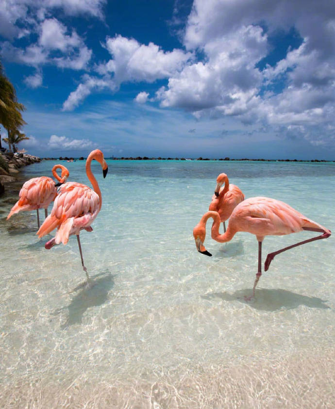 水蜜桃味百香果的個(gè)人主頁（背景預(yù)覽） - 主頁背景設(shè)置 - 站酷設(shè)計(jì)師水蜜桃味百香果原創(chuàng)素材 - 站酷ZCOOL