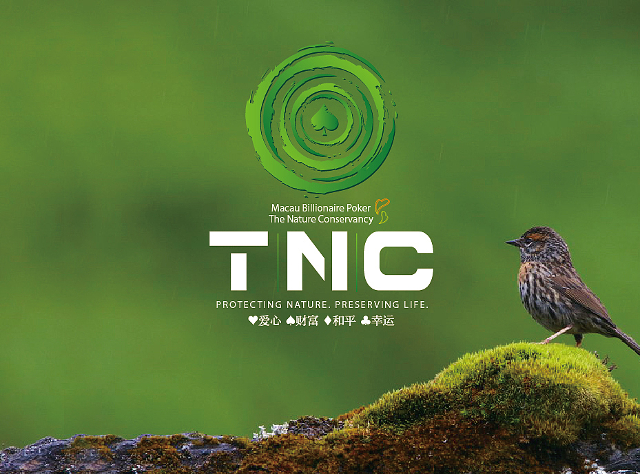 TNC（图ZMjczODEwNjg=） - Logo - 站酷设计师我就是自然卷原创素材 - 站酷ZCOOL