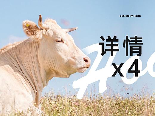 保健/药品 详情页x4