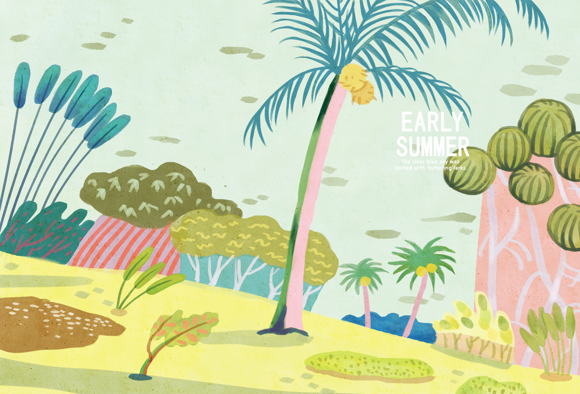 夏日心情 本册设计