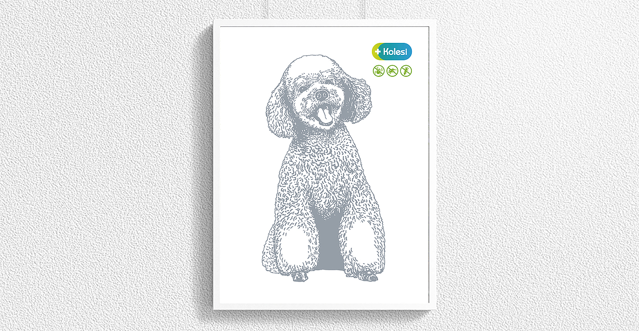 科莱施宠物药品插画(已商用)