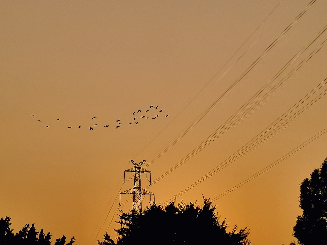 日出日落（图ZMzUyNDY1MzAw） - 风光摄影 - 站酷设计师园游会有缘原创素材 - 站酷ZCOOL