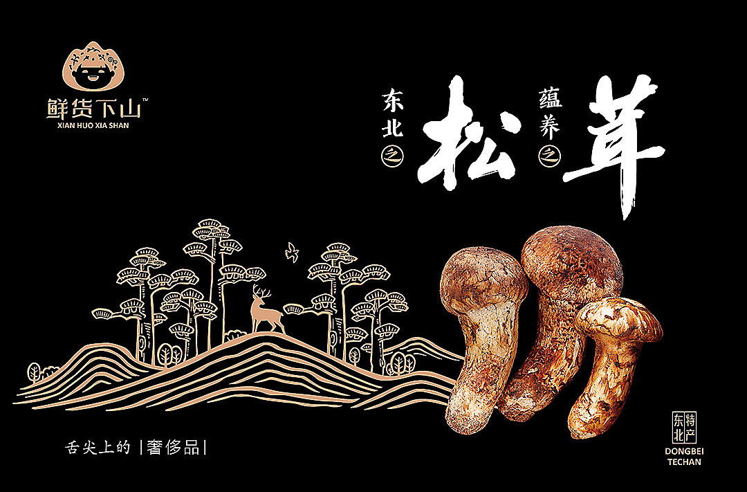 东北松茸包装设计