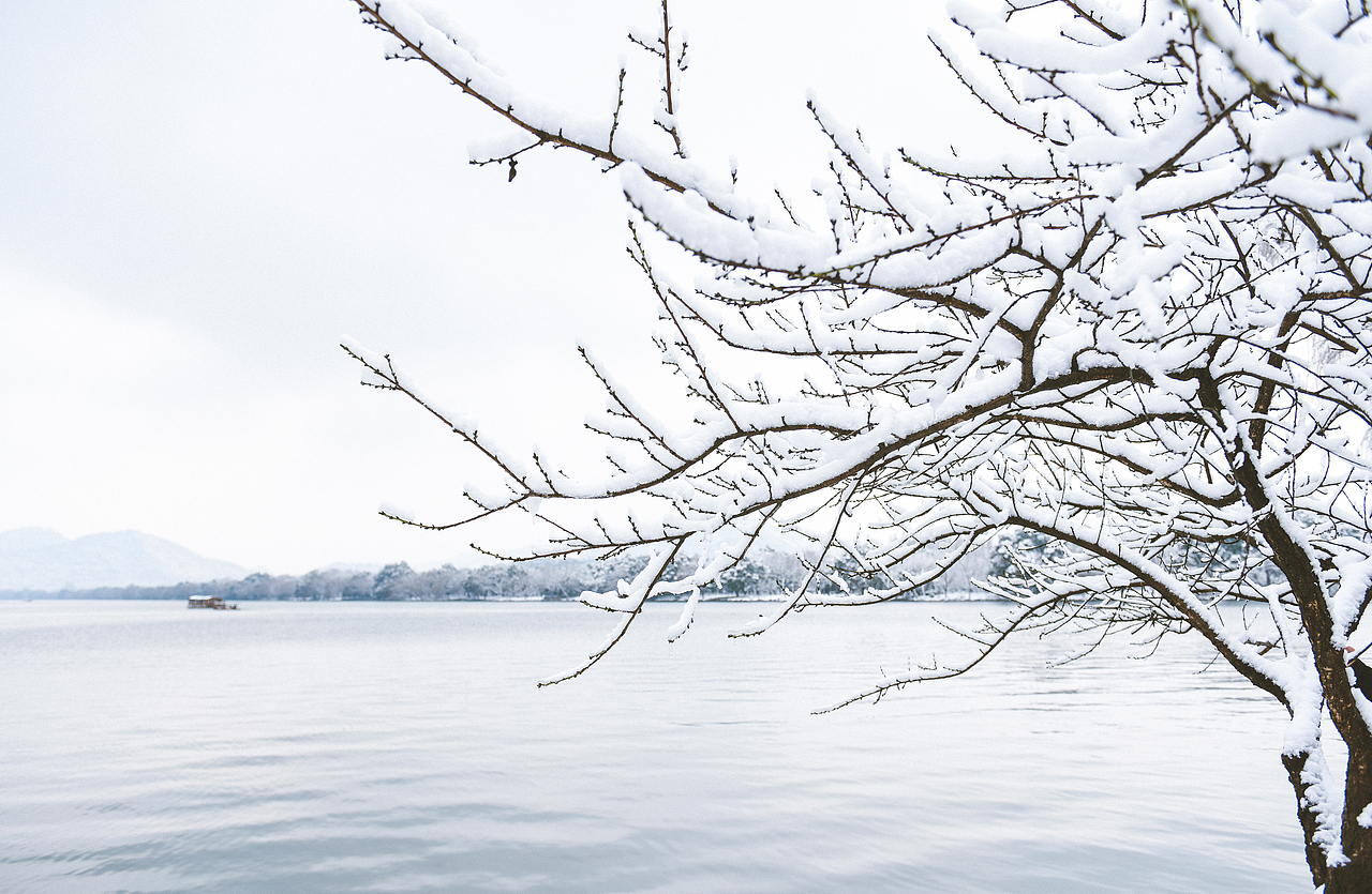 杭州。西湖。雪中。