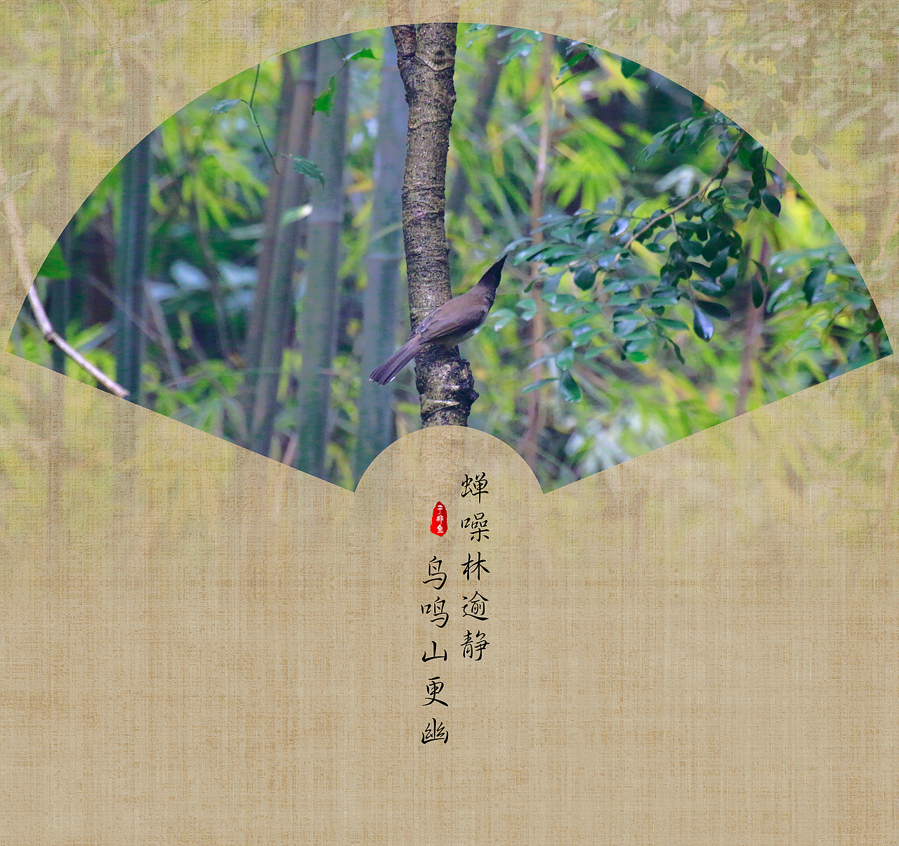 爱吃猫的鱼