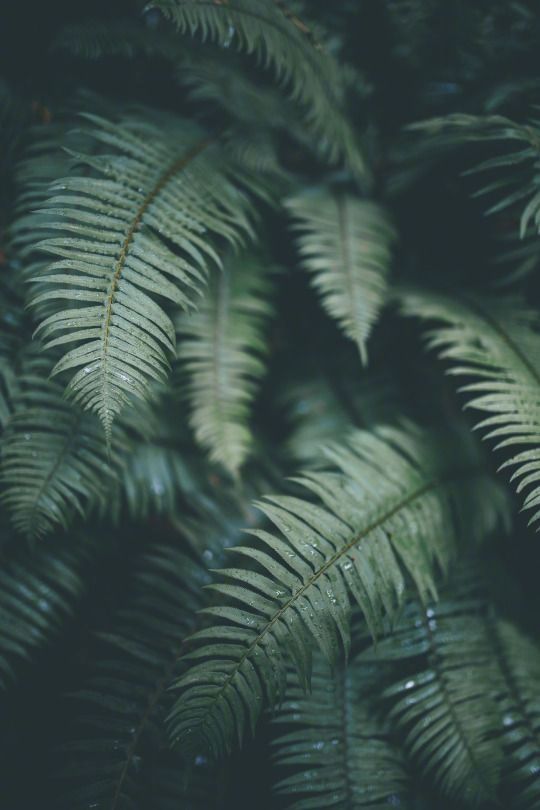 魚籽醬MO的個人主頁（背景預(yù)覽） - 主頁背景設(shè)置 - 站酷設(shè)計師魚籽醬MO原創(chuàng)素材 - 站酷ZCOOL