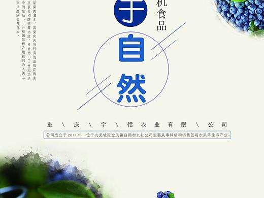 商业海报宣传排版