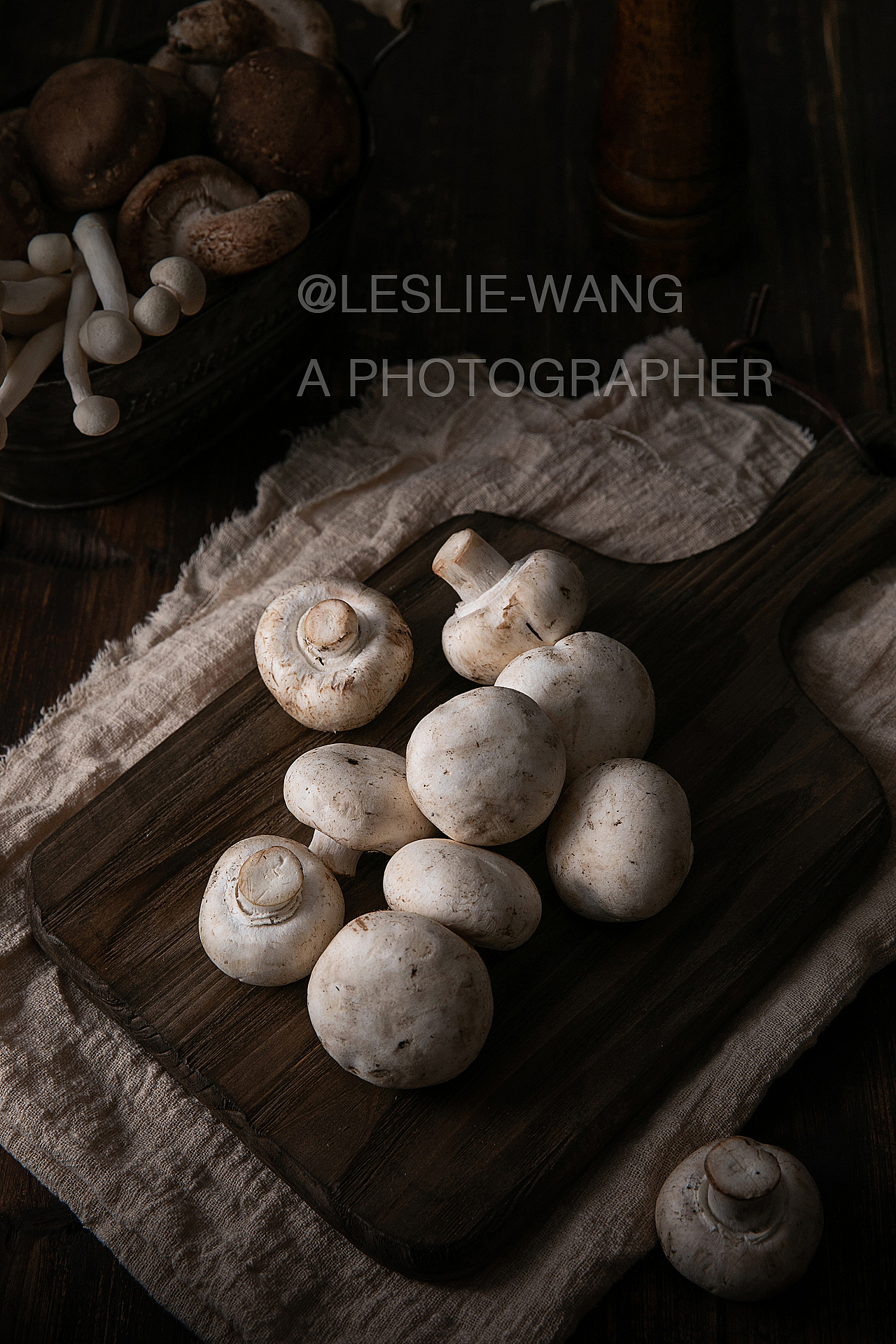 菌 THE MUSHROOM（图ZMTM4NTM3NDg0） - 产品摄影 - 站酷设计师来四粒WANG原创素材 - 站酷ZCOOL
