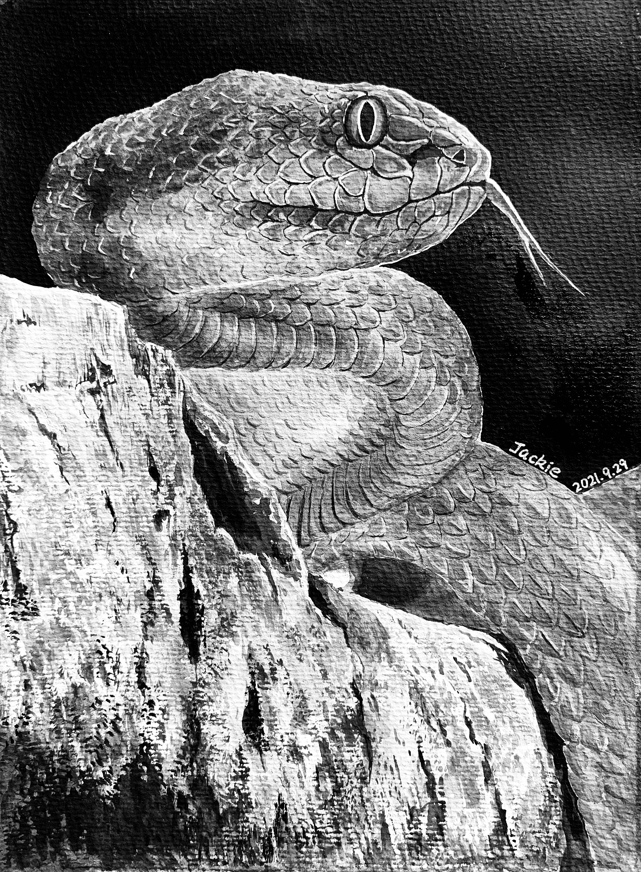 水彩·蛇|纯艺术|绘画|悦画坊文化艺术工 - 原创作品 - 站酷 (zcool)