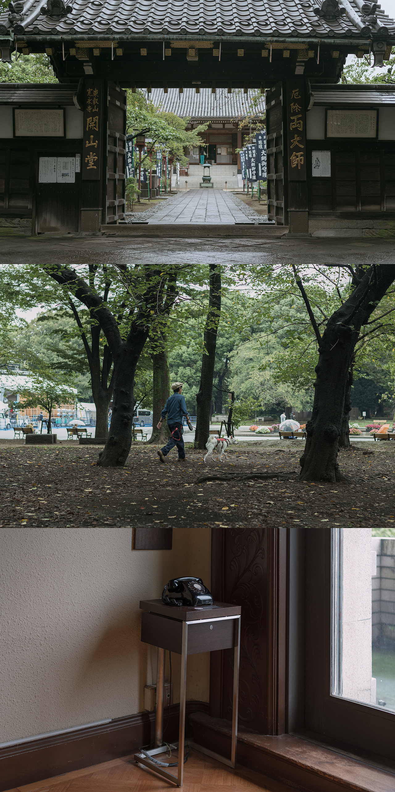 旅途中的只言片语
