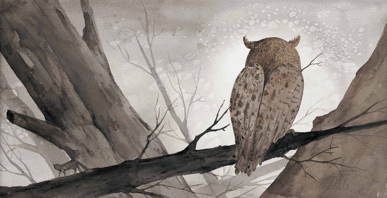 站酷十年,画出了21本书