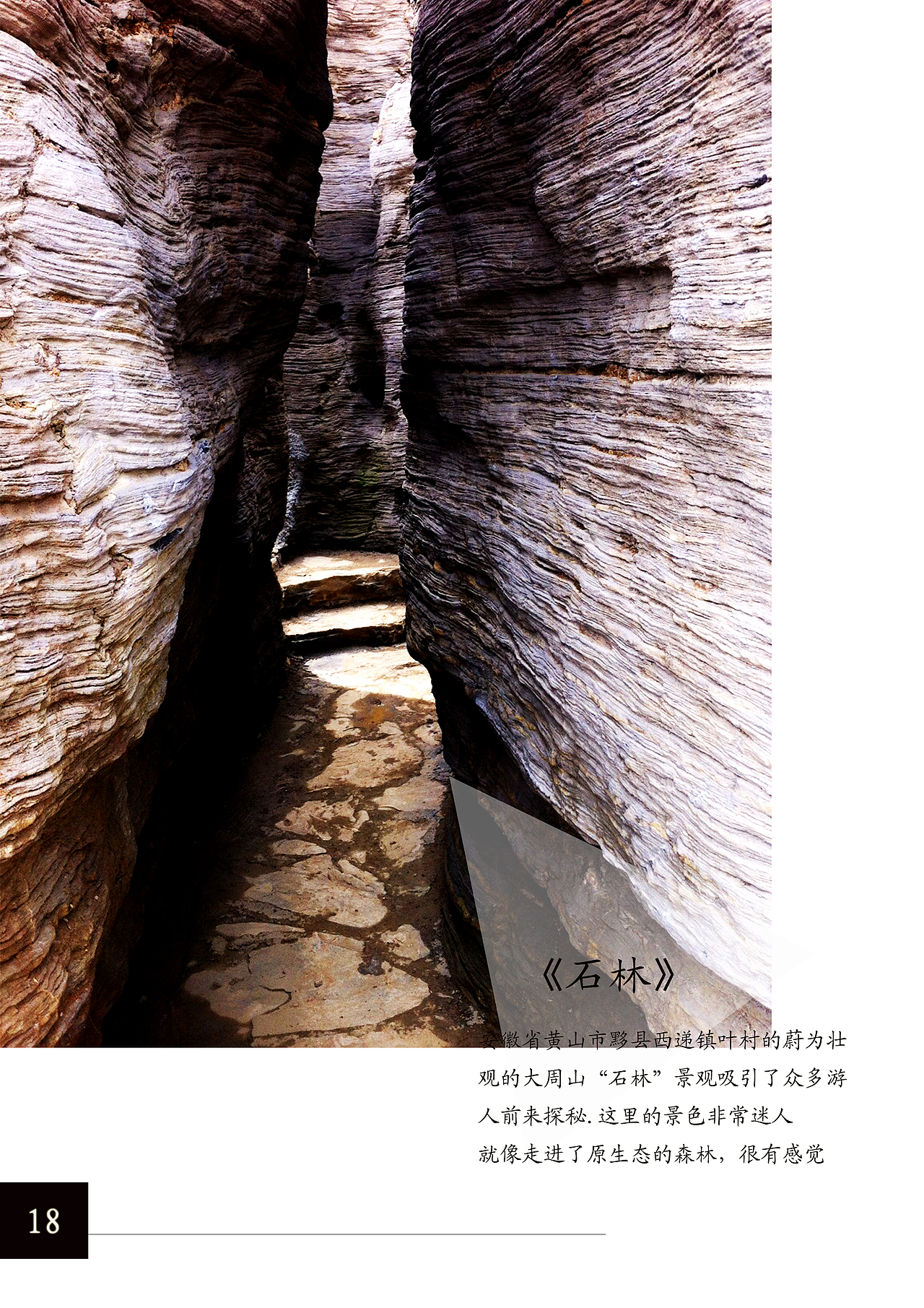 摄影作业（图ZNzk0MTkzODA=） - 其他摄影 - 站酷设计师FLOWER_JFF原创素材 - 站酷ZCOOL