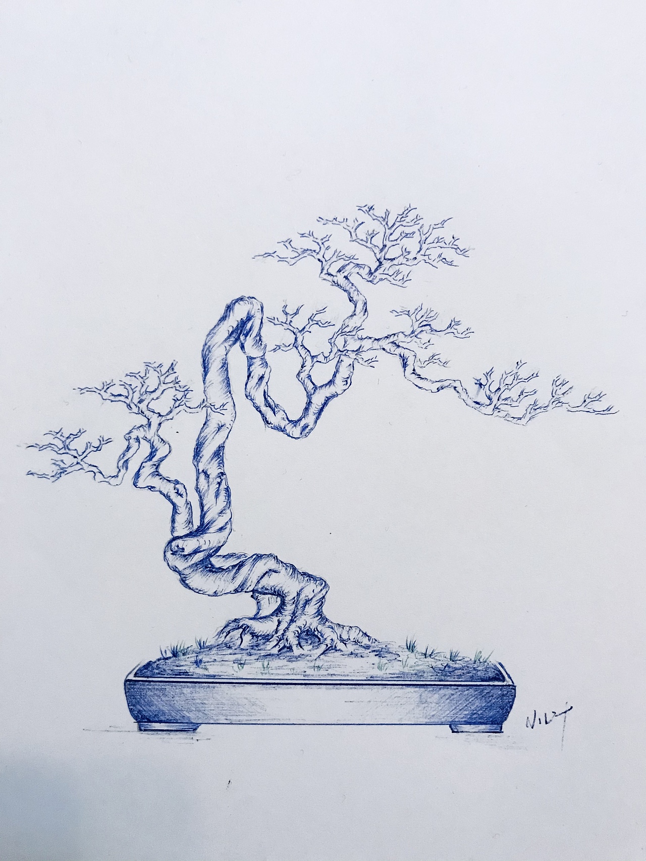 手绘盆景（图ZMjUzMzMyMDg4） - 绘画 - 站酷设计师Z75835907原创素材 - 站酷ZCOOL