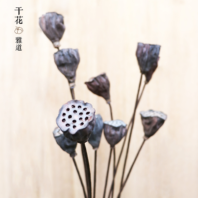 禅意小莲蓬（图ZODQ3MzYwOTY=） - 产品摄影 - 站酷设计师干花雅道原创素材 - 站酷ZCOOL