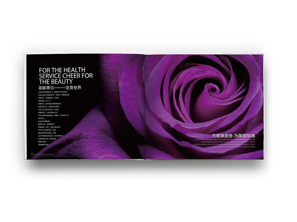 画册设计 品牌设计