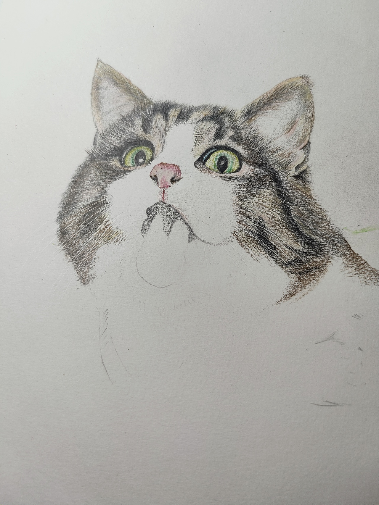 鬼臉貓（圖ZMjM4Njc4OTk2） - 繪畫 - 站酷設(shè)計師可小萌kiko原創(chuàng)素材 - 站酷ZCOOL