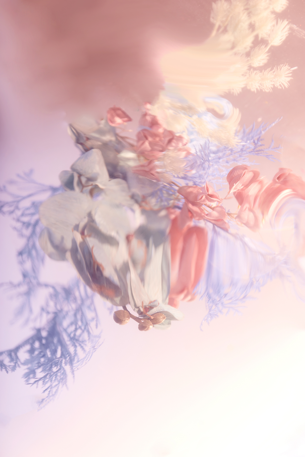 颜色比较淡雅的小片-花