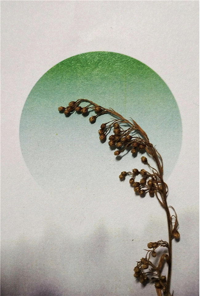 毕业设计 再造APP（图ZNTI0OTY0MzY=） - 交互/UE - 站酷设计师Abstractpeople原创素材 - 站酷ZCOOL