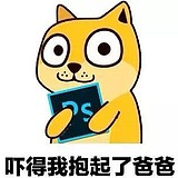 一只GDX的头像