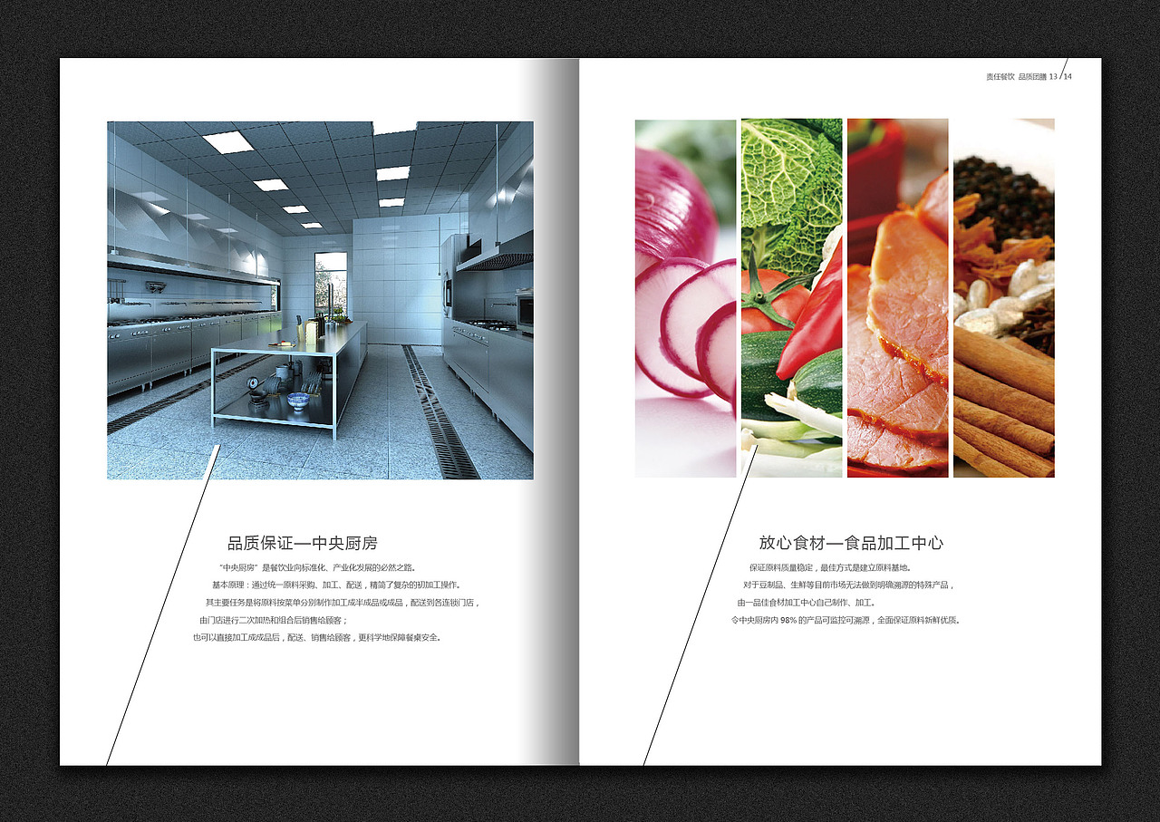 画册作品（图ZNjg4MDIzMDA=） - 书籍/画册 - 站酷设计师soves原创素材 - 站酷ZCOOL