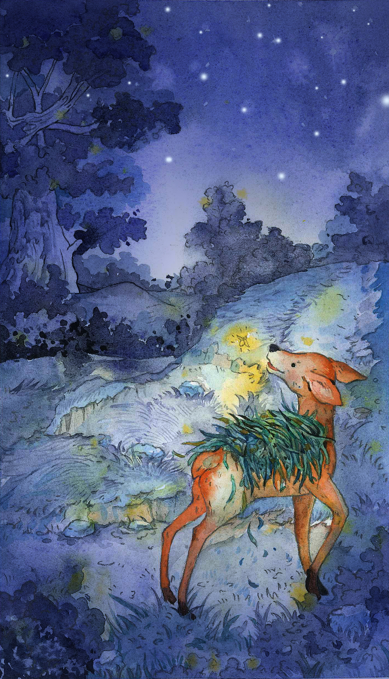 故事插图《会飞的小鹿》