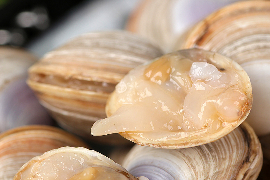 白蚬子丨海鲜电商客户约拍丨飞鸟电商|||飞鸟电商视