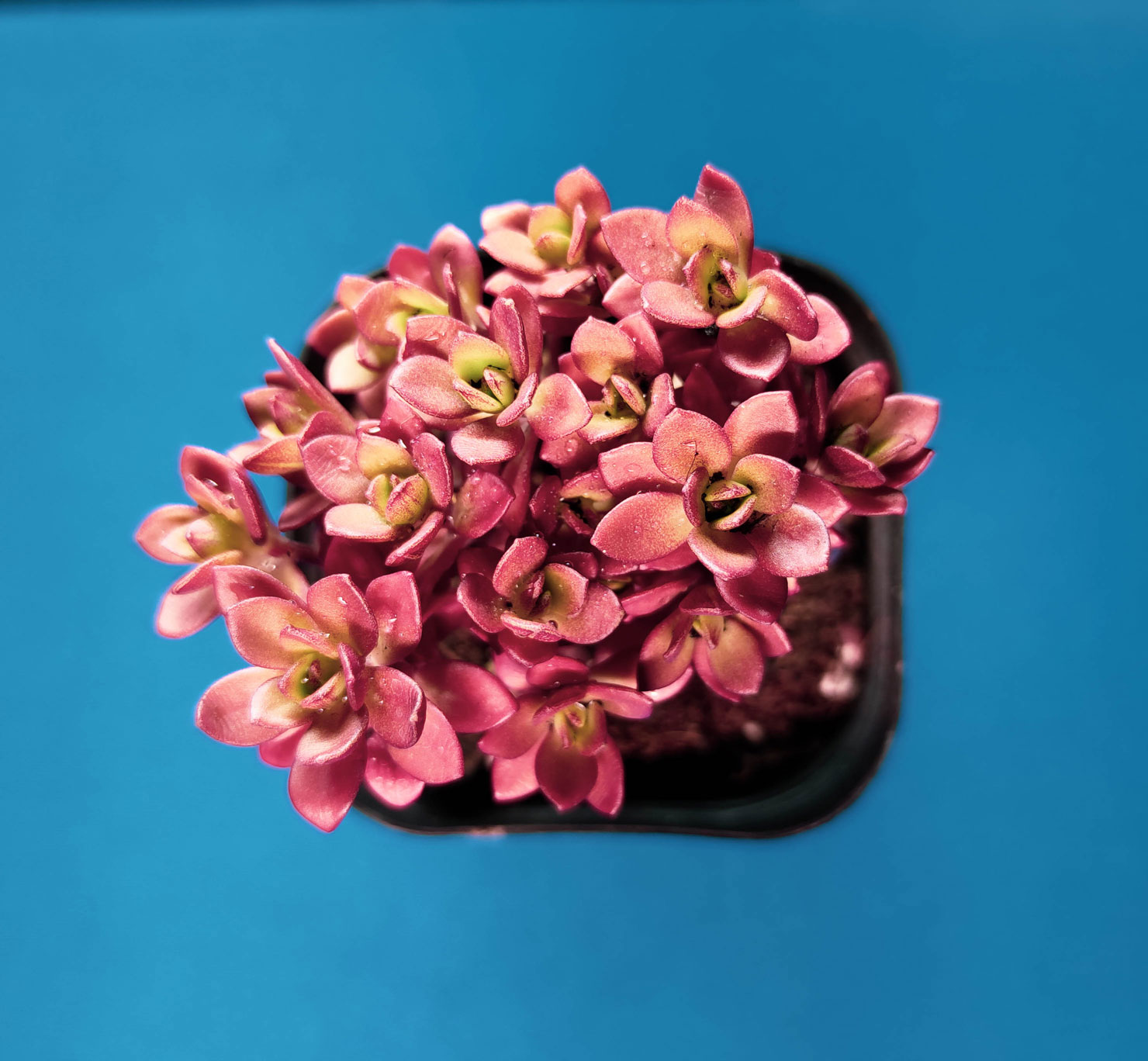 南山南里的個(gè)人主頁(yè)（背景預(yù)覽） - 主頁(yè)背景設(shè)置 - 站酷設(shè)計(jì)師南山南里原創(chuàng)素材 - 站酷ZCOOL