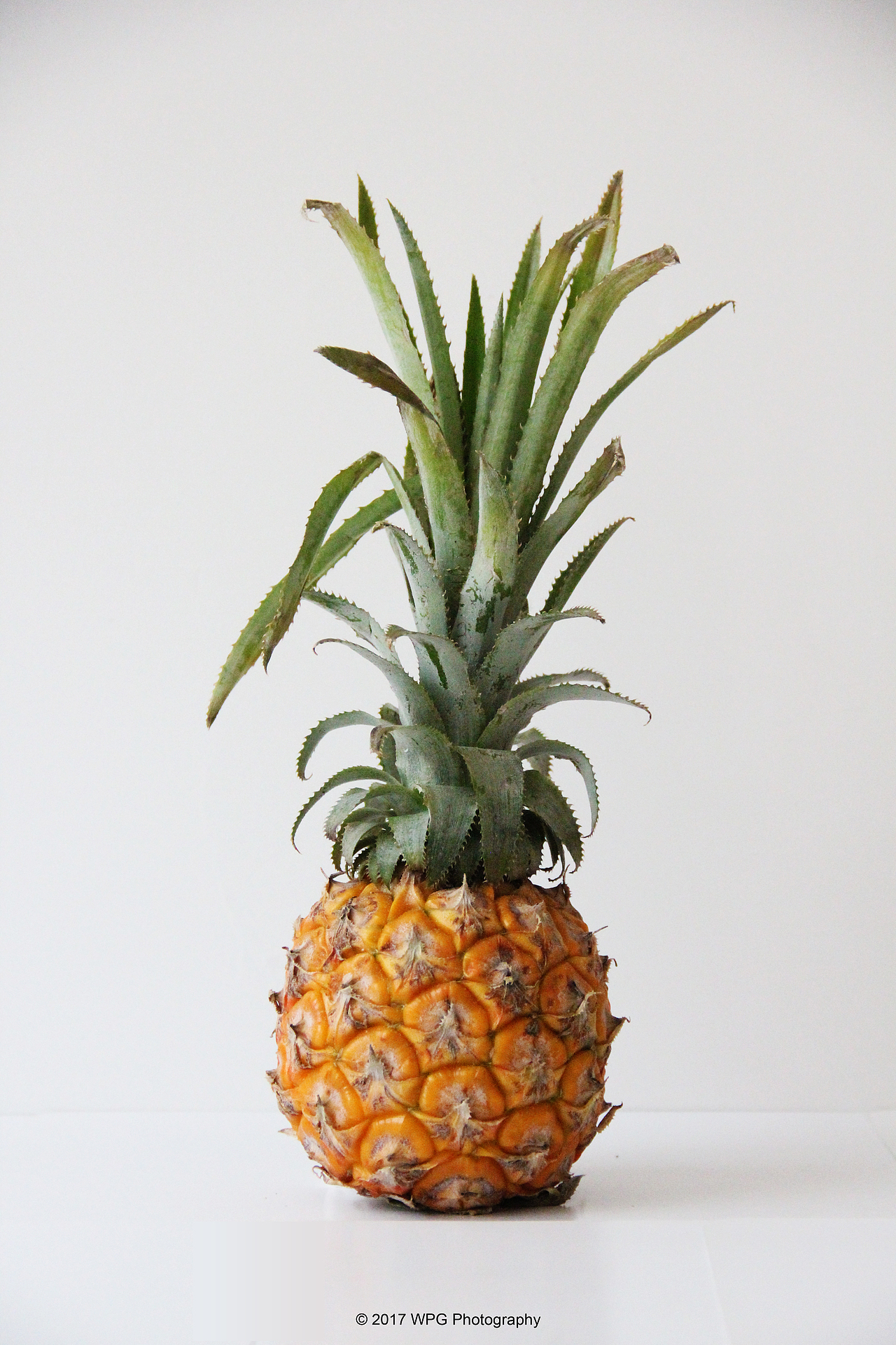 《 菠萝 》|摄影|产品摄影|王珮光_原创作品-站酷zcool