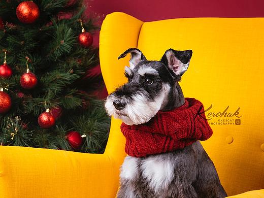 Merry Xmas and Happy New Year【克查原创作品27】