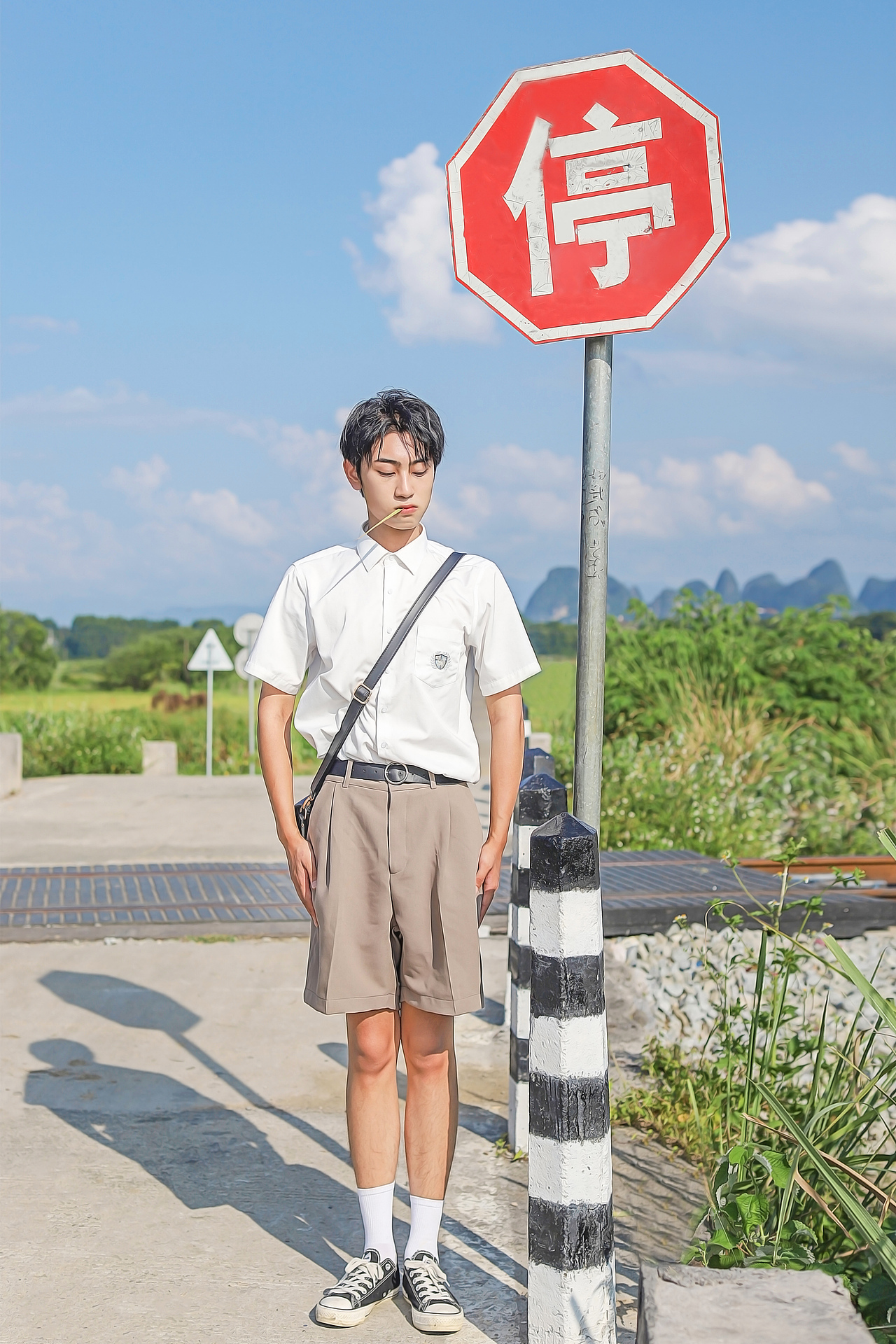 宫崎骏的夏天🌞
