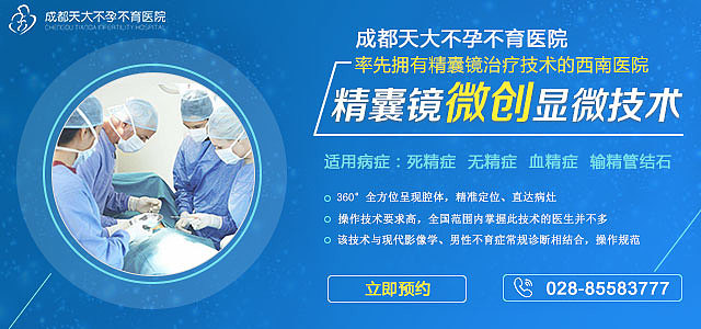 banner（图ZODgzNjY5ODQ=） - 海报 - 站酷设计师li李圈圈原创素材 - 站酷ZCOOL