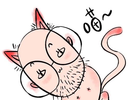 无毛猫表情包预热~