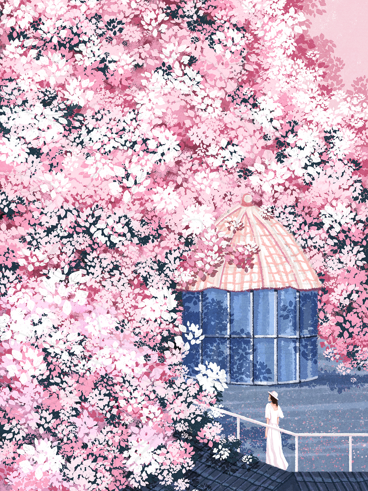 少女与花(合集)