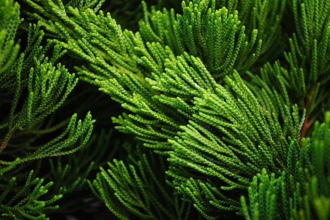 士申的個人主頁（背景預(yù)覽） - 主頁背景設(shè)置 - 站酷設(shè)計師士申原創(chuàng)素材 - 站酷ZCOOL