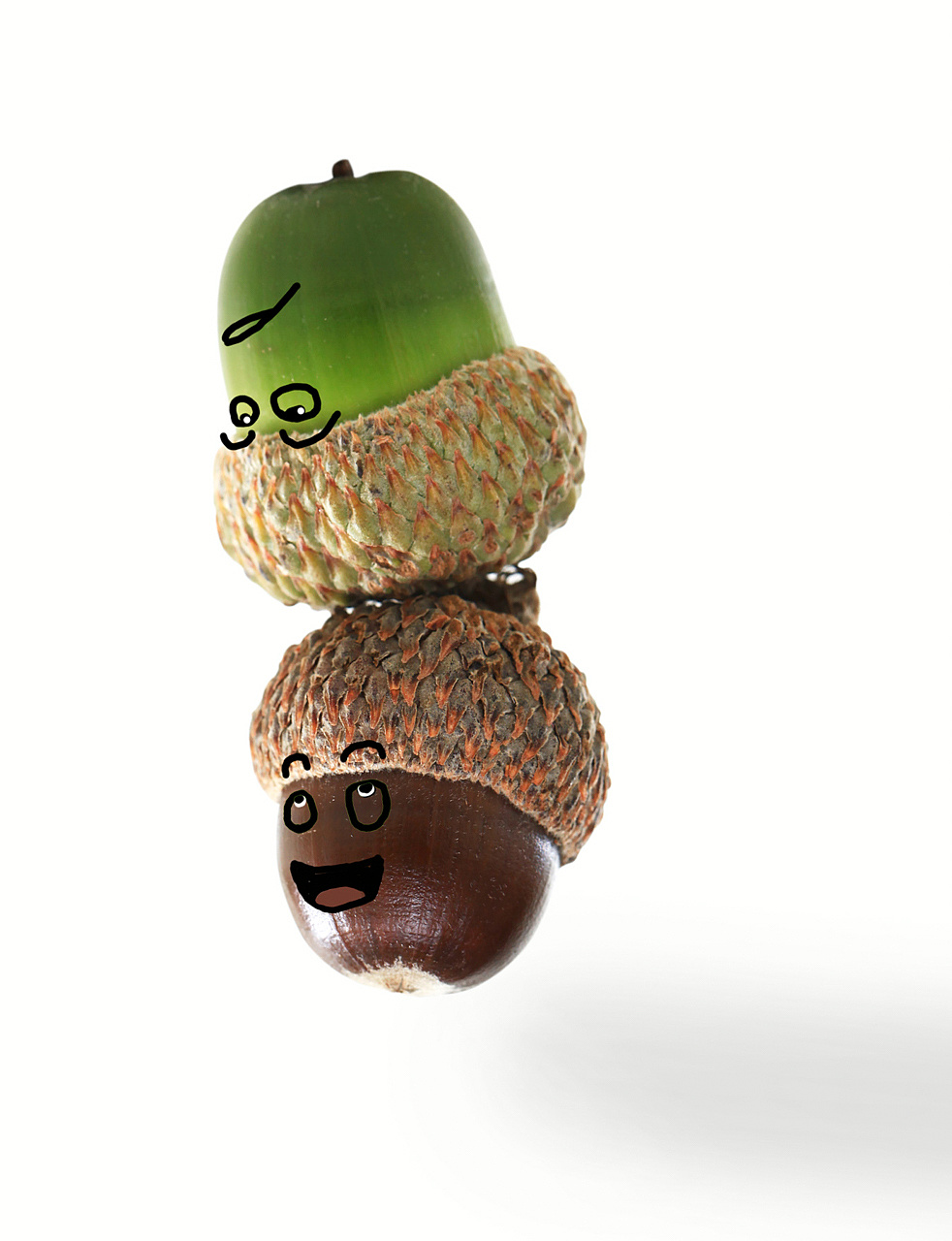 新鲜橡果人大战毛毛虫|插画|儿童插画|短路的豆腐脑 - 原创作品