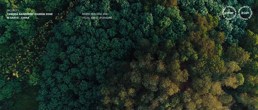 Yanoda Rainforest 呀诺达 品牌设计集合