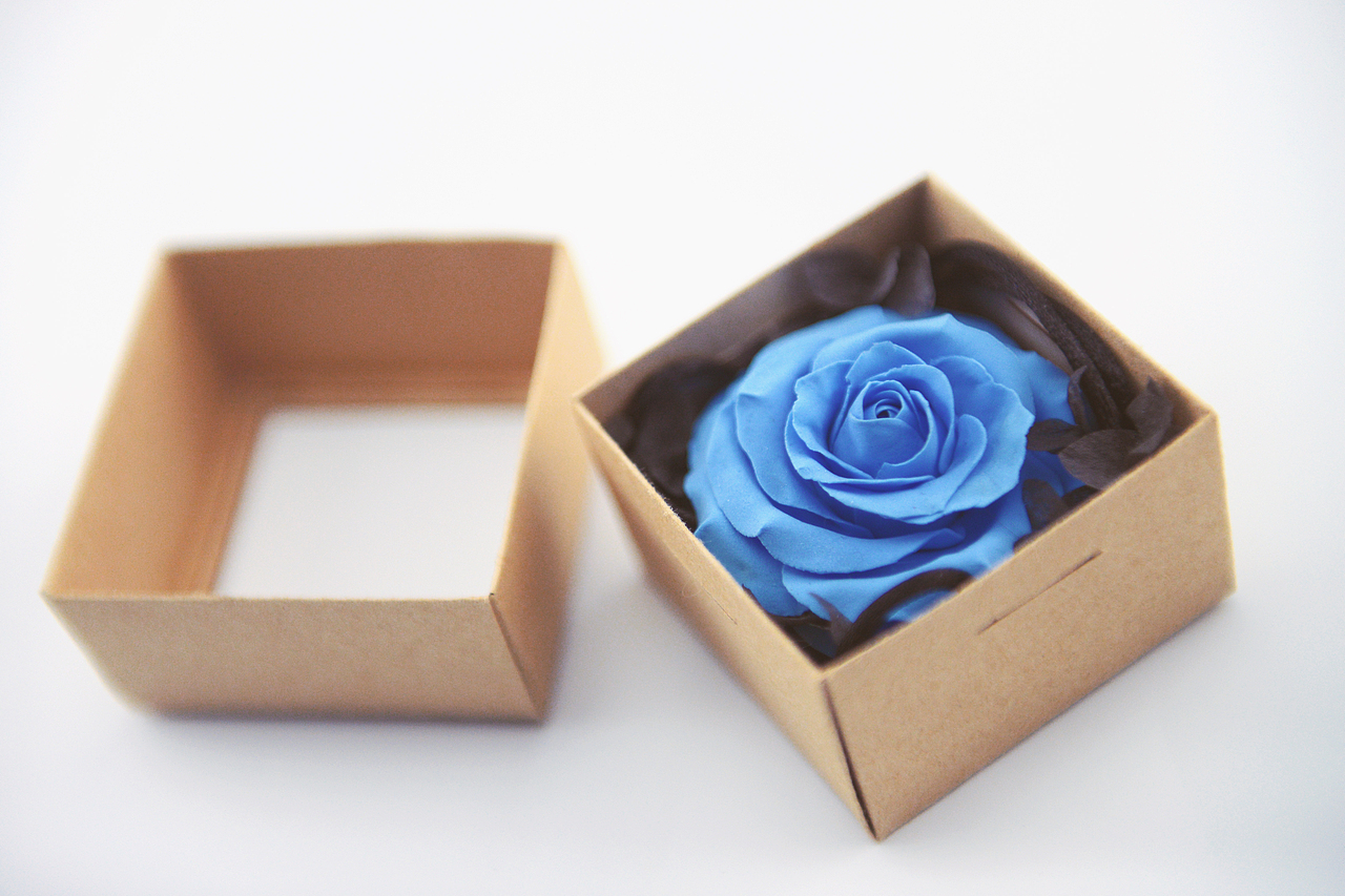 超轻粘土——玫瑰花