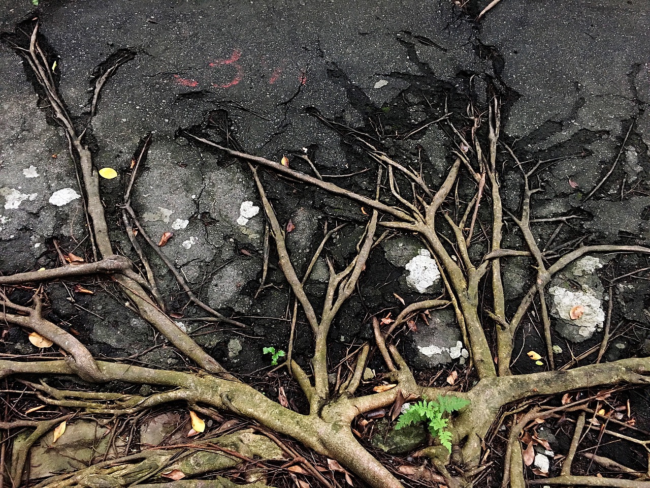 杂志可用的照片哦 果然照片还是自己找的好