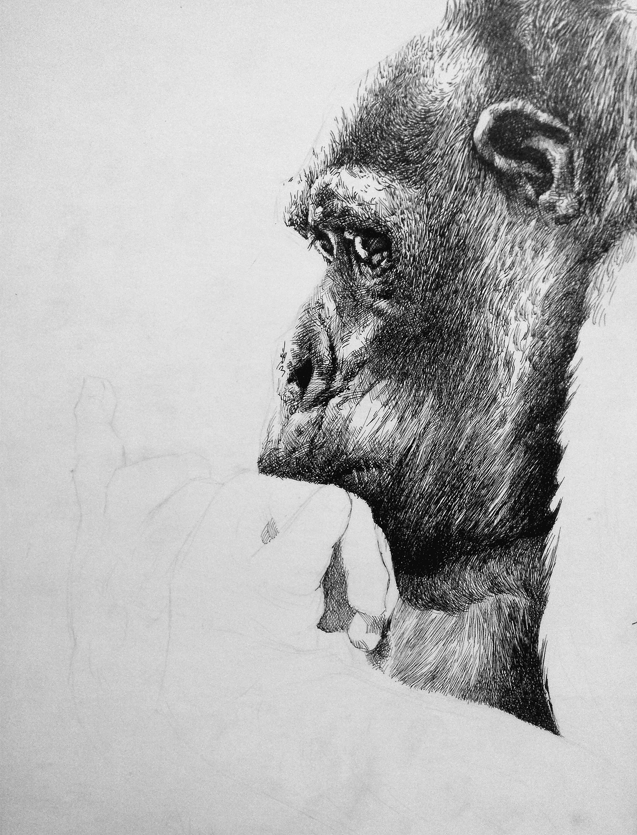 冀晓伟钢笔画《别了》(图ZMjQxNTEzMDQ=) - 绘画 - 站酷设计师冀晓伟钢笔画原创素材 - 站酷ZCOOL