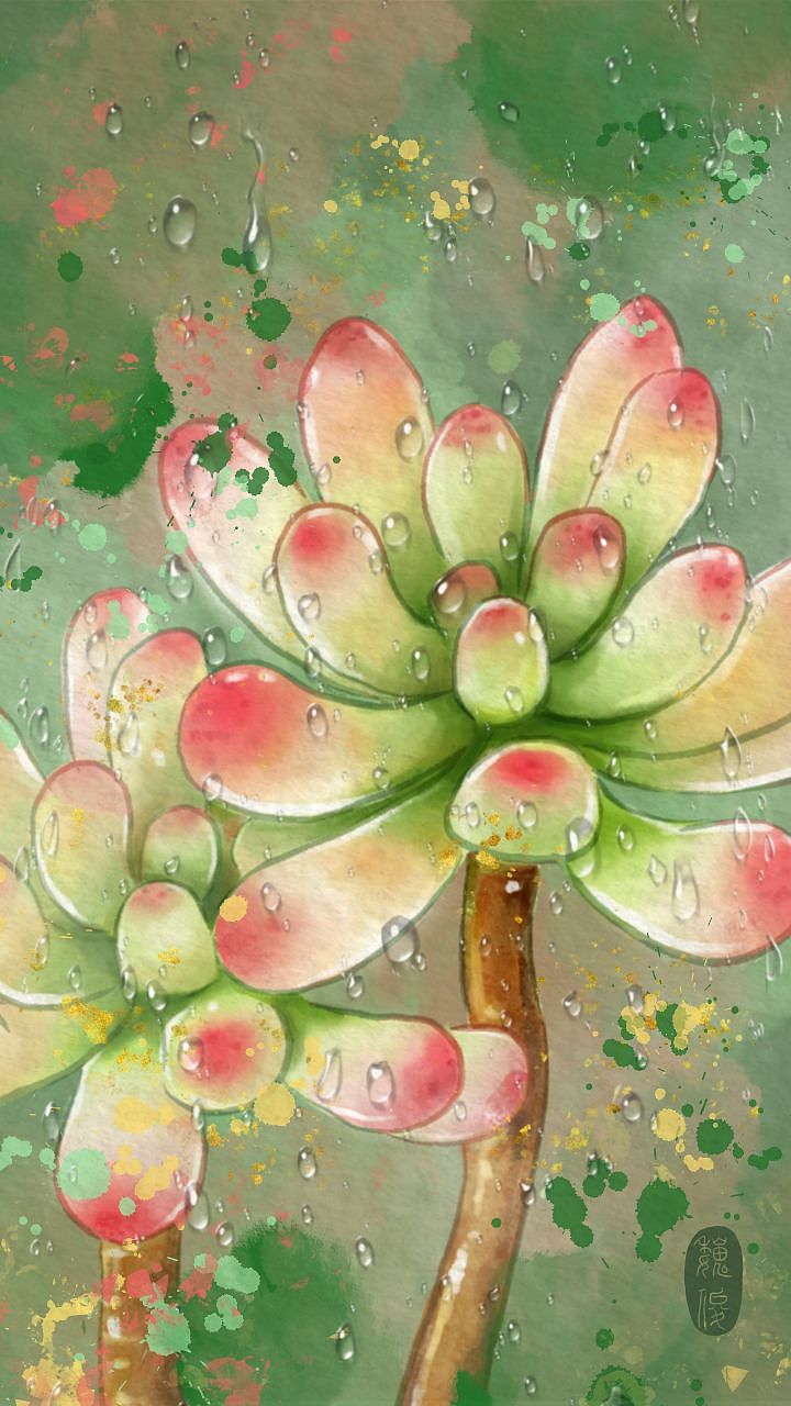 多肉植物壁纸创作（图ZMzUzOTI5MDY0） - 艺术插画 - 站酷设计师魏小俊WEIXIAOJUN原创素材 - 站酷ZCOOL