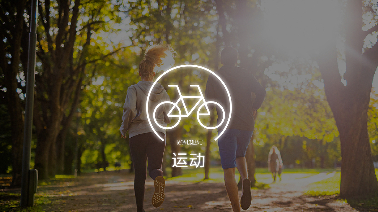 理想城VI视觉提报