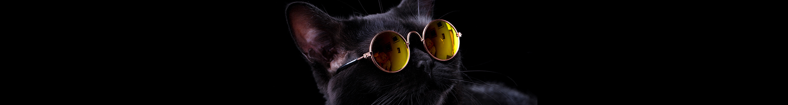 小海龍的個人主頁（封面預(yù)覽） - 主頁封面設(shè)置 - 站酷設(shè)計師小海龍原創(chuàng)素材 - 站酷ZCOOL