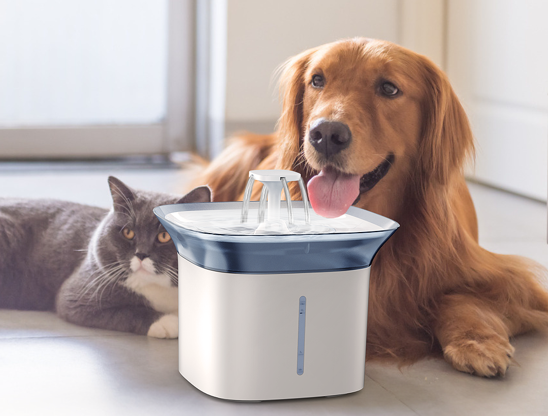 宠物饮水机keyshot渲染