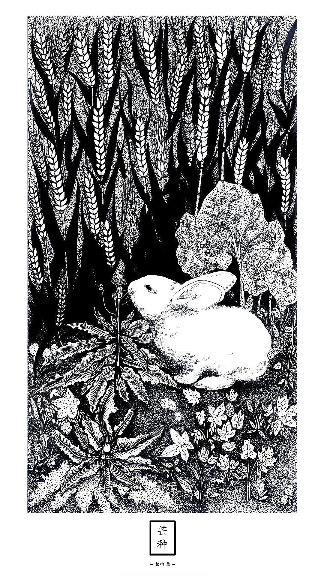 四季节气之 夏（图ZNTc1NDk5MTI=） - 商业插画 - 站酷设计师孟柏杨原创素材 - 站酷ZCOOL