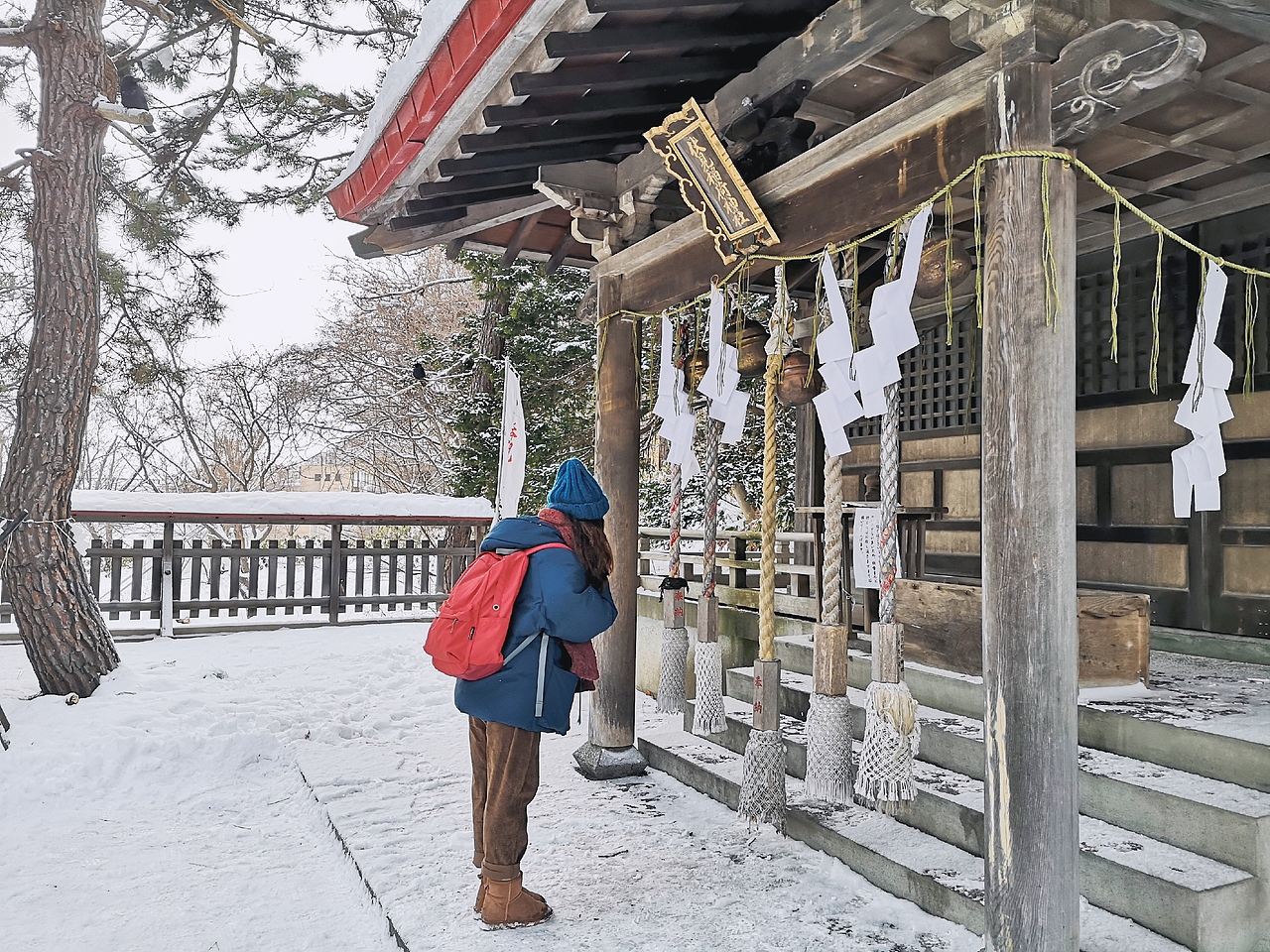 【北海道】这个大雪覆盖的札幌神社，温柔且安静。（图ZMTk2OTY0MTg4） - 风光摄影 - 站酷设计师keke奇遇记原创素材 - 站酷ZCOOL