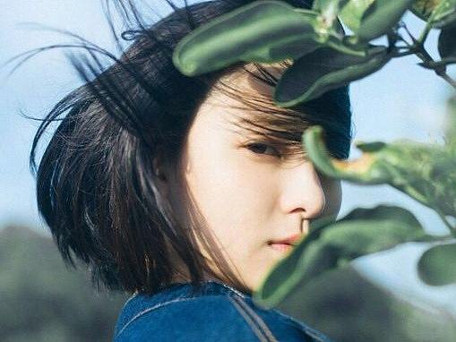 一个自娱自乐的作品集 （不定期更新）