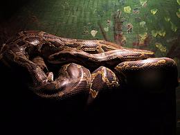 拍了几百张 自己觉得能看的就几张