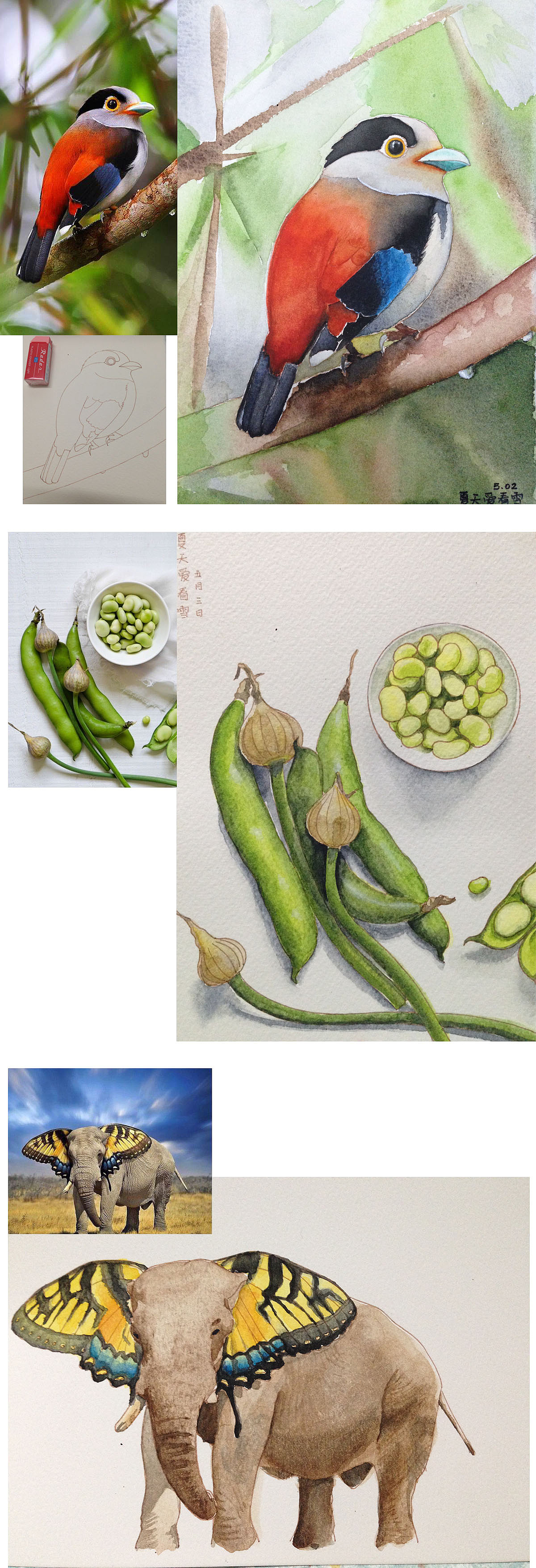 2015水彩作品回顾