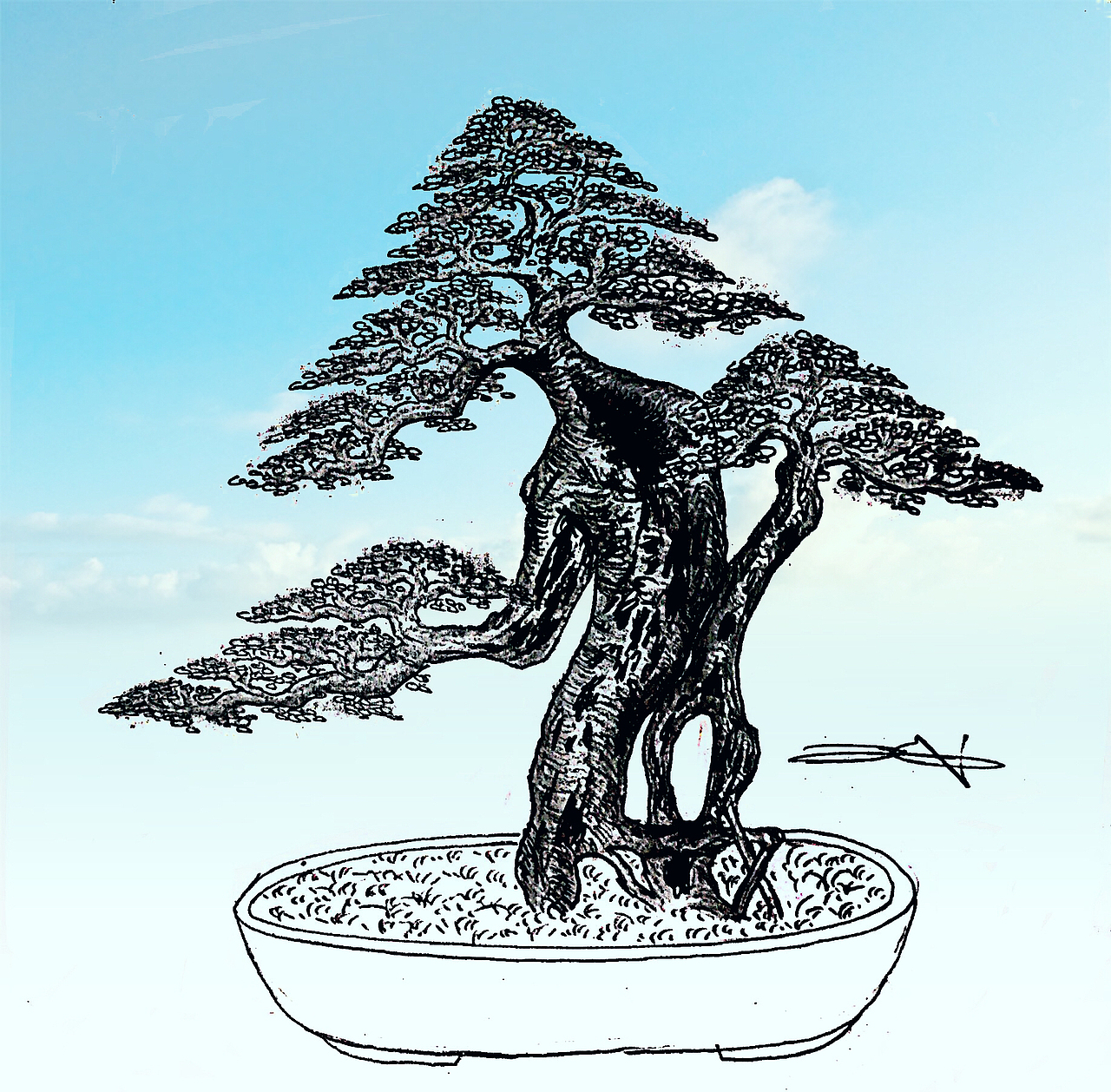 金弹子盆景设计效果图（图ZMTY2OTE4NTYw） - 绘画 - 站酷设计师慧武原创素材 - 站酷ZCOOL