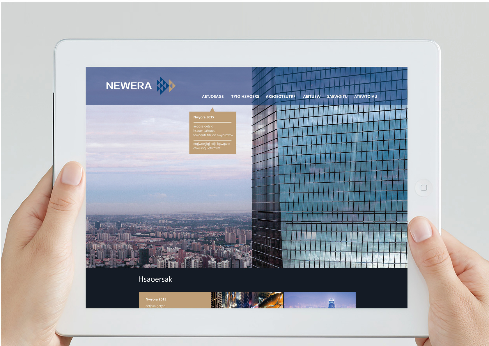 沣沅弘金融集团:各子母公司标志及vi设计 3个品牌